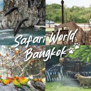 2 Night 3 Days Bangkok land Package